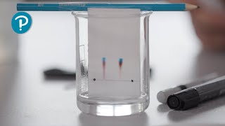 Pearson Edexcel (9-1) Combined Sciences Core Practical for Chemistry - paper chromatography