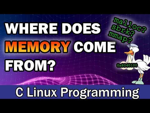 The Origins of Process Memory Exploring the Use of Various Memory Allocators in Linux C