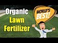 Best Organic Lawn Fertilizer