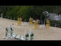 as poney de nîmes centaure en p2b lou mai et phenix