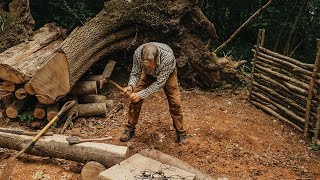 Tree Root Bushcraft Camp: Building a  Survival shelter | Perimeter Walls | Kitchen