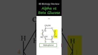 IB Biology Review - Alpha vs Beta Glucose