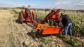 Maize Harvesting at Casterton Working Weekend pt2