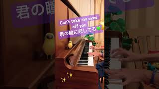 【Can't take my eyes off you】#君の瞳に恋してる #canttakemyeyesoffyou #pianocover