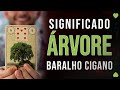 Significado carta Arvore - Baralho Cigano - Carta 5