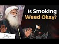 Is Smoking Weed Okay? Should Marijuana Be Legal in India?