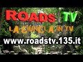 roadstv la giungla in tv