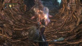 Bloodborne《血源詛咒》蘇美魯 深度2（r637xabe）始源迷宮第3層稀有動物