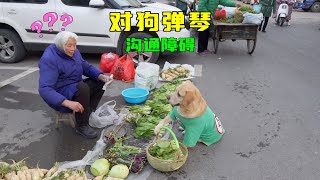 狗狗買菜被攤主誤解，找零還被攤主收回，氣的狗狗直接離開