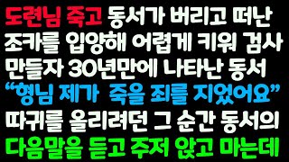 (신청사연) 도련님 죽고 동서가 버린 조카 입양해 검사 만들자 30년만에 나타난 동서가 내게 건낸 가방을 열자 엄청난 반전이 /감동사연/사이다사연/라디오드라마/사연라디오