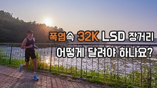 32K LSD, 장거리러닝, 저의 노하우를 알려드립니다. JTBC마라톤 D-80