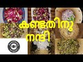 അഗത്തിപ്പൂ തോരൻ അഗത്തി പൂ തോരൻ vegetable hummingbird fry വെജിറ്റേറിയൻ ambilimama cookbook