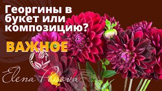 Георгины в букет или композицию. Советы флориста. Обработка цветов. Флористика для начинающих.