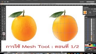 การใช้ Mesh Tool ตอนที่ 1/2 : ส้ม (Adobe Illustrator workshop 4 (Mesh Tool) : Orange 1/2)