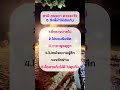 สามีภรรยาควรระวัง 5 สิ่งที่ทำให้เลิกกัน ปัญหาชีวิต คติธรรมคำสอน ใช้ชีวิต ธรรมะสอนใจ