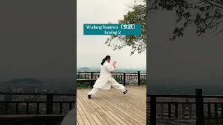 Wudang Xuanwu(玄武) Boxing-2