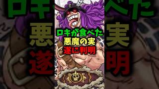 ロキが食べた悪魔の実ついに判明#ワンピース #ワンピース最新話 #onepiece #ネタバレ注意