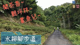 [新北坪林] 水柳腳登山步道(水柳腳-觀音台-坪林親水吊橋) / Shuiliujiao Trail