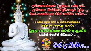 පන්සිය පනස් ජාතකයේ සිව්වන කථාව චුල්ල සෙට්ඨි කතාවෙන් එන උත්සාහවන්තකම දියුණුවට හේතු වේ - මන්දාකිණිය 04