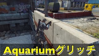 【BO3】Aquarium グリッチ バレない！！