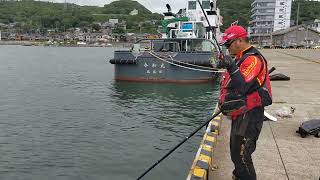 新潟県 初めての寺泊港で、でかいヤツ来た～～