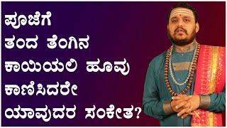 ಪೂಜೆಗೆ ತಂದ ತೆಂಗಿನ ಕಾಯಿಯಲಿ  ಹೂವು ಕಾಣಿಸಿದರೇ ಯಾವುದರ ಸಂಕೇತ?