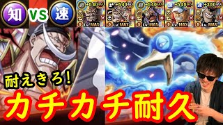 トレクル 海賊祭決勝戦に向けて クイーン初陣 さすがのカチカチ防御 Optc