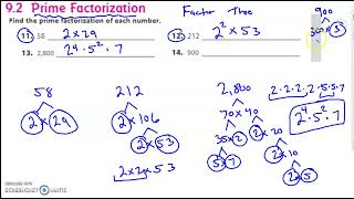 Module 9 - Interactive Study Guide - 2021-2022