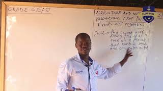 Preserving Crop Products - Grade 6 Agriculture \u0026 Nutrition by Teacher Kipchirchir