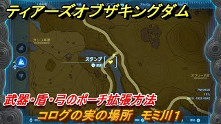 ティアキン　コログの実の場所　モミ川１　武器・盾・弓のポーチ拡張方法　＃９９５　【ゼルダの伝説ティアーズオブザキングダム】