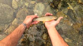 Fly Fishing the Stehekin River in the backcountry of North Cascades National Park #4