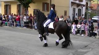 Horses and Medieval times. Villavallelonga. Sept. 3, 2017