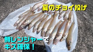 簡単キス釣り。夏は鱒レンジャーでチョイ投げ。