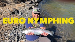 Euro Nymphing Deschutes drop shot setup River Bend Oregon Huge Rainbow Trout