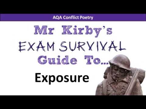 What is the poem survival guide about?