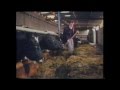 Farming in County Monaghan 1985