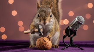 ASMR Squirrel Cracking Walnuts 🐿️🔨 | Professional Crunchy Sounds