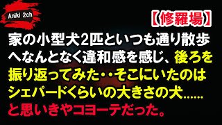 家の小型犬2匹といつも通り散歩へなんとなく違和感を感じ、後ろを振り返ってみた・・そこにいたのはシェパードくらいの大きさの犬......と思いきやコヨーテだった。【Aniki 2ch】