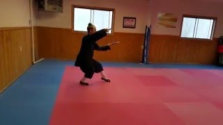 Wudang Taiyi Xuanmen Jian Demo for Workshop