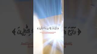 إسلام صبحي || سورة الشعراء