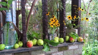 小さな窓の花ごよみ 1654 晩夏初秋の彩 ♪ホルスト「惑星」より木星 ♪