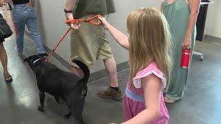 AZ Humane Society at capacity, waiving adoption fees on all pets Saturday