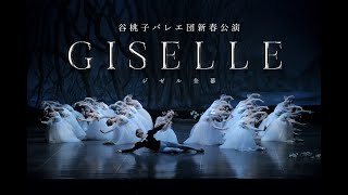 【谷桃子バレエ団】2022年新春公演「GISELLE/ジゼル」全幕