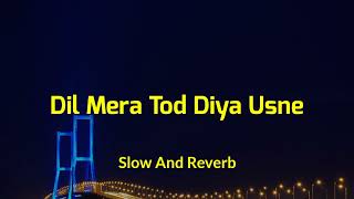 Dil Mera Tod Diya Usne Slow and Reverb Song