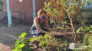 AZSA Garden Workday Safety Video