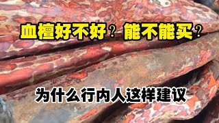 血檀好不好？能不能买？为什么行内人建议，新手不要碰血檀家具？