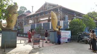 പല്ലശ്ശന  മീൻകുളത്തി അമ്മൻ ക്ഷേത്രം / pallassana meenkulathi amman temple