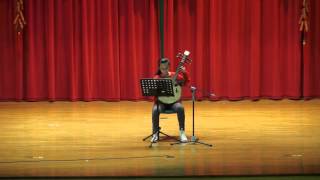 Zhongruan 中阮 Performance - Hillgrove Chinese New Year Concert 2014