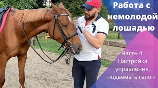 Работа с немолодой лошадью часть 4. Подъемы в галоп и повороты .