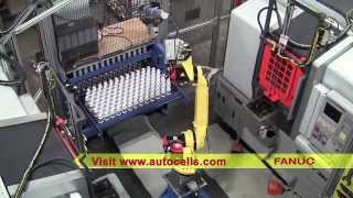 Robotic Machine Tool Loading System with FANUC Robot - Automated Cells & Equipment